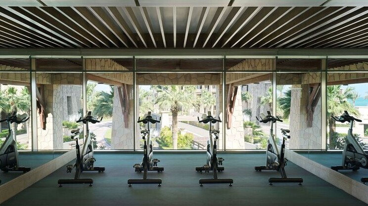 Sofitel Dubai The Palm Hotel